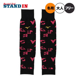 y2025fz~Ymv 싅 uXT[ bOEH[}[ p ~p 12JYCU50 h Jt I[o[XgbLO g  ~ H~ h  l 싅 mizuno