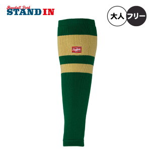 y2025fz[OX 싅 bOEH[}[ I[o[XgbLO ~p AAS15F01 ~ g  ~ H~ h      l 싅 Z싅 w rawlings