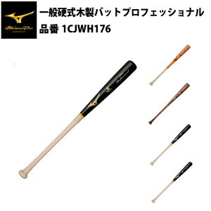 ~Ym d ؐobg vtFbVi 1CJWH176 mizuno