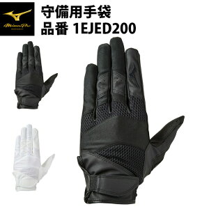 ~Ymv p p 1EJED200  mizuno