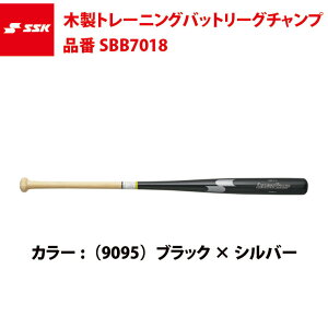 SSK ؐg[jOobg [O`vTRAINING SBB7018 GXGXPC ssk20ss