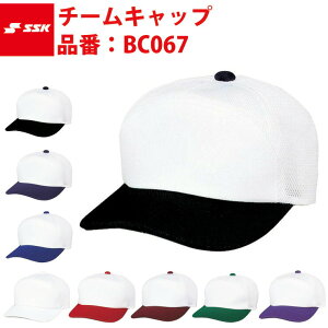 GXGXPC SSK-BC067 `[Lbv }[LOVXeΉi