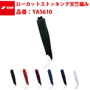 GXGXPC SSK-YA5610 [JbgXgbLO V҂