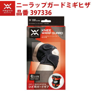 }WRX|g EЂpT|[^[ j[bvK[h ubNM 397336 EG X|[c RY