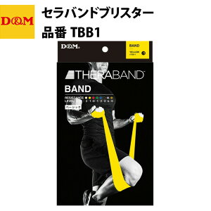 D&M fB[G ZohuX^[ CG[ TBB1 g[jOoh  ^ g ƃg ؃g tr20ss