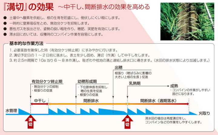楽天市場】【4/1-4/30確率1/2!最大100%ポイントバック☆要エントリー 
