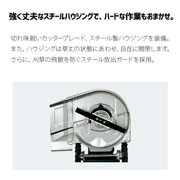 楽天市場】【4/1-4/30確率1/2!最大100%ポイントバック☆要エントリー 