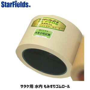  ݂S[ T^P ٌa 40 ݂胍[ mizuuchi