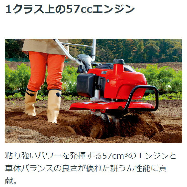 楽天市場】【4/1-4/30確率1/2!最大100%ポイントバック☆要エントリー 
