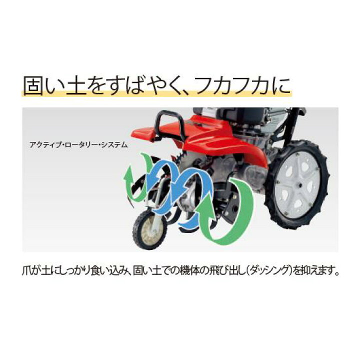 楽天市場】【4/1-4/30確率1/2!最大100%ポイントバック☆要エントリー 