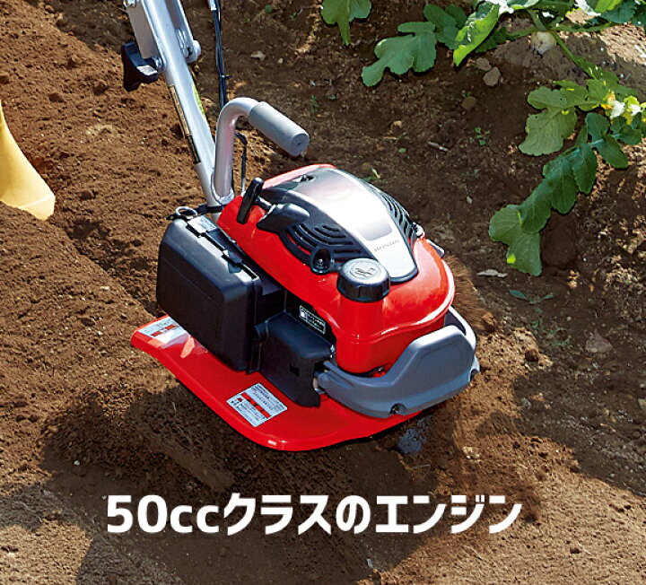 楽天市場】【4/1-4/30確率1/2!最大100%ポイントバック☆要エントリー 