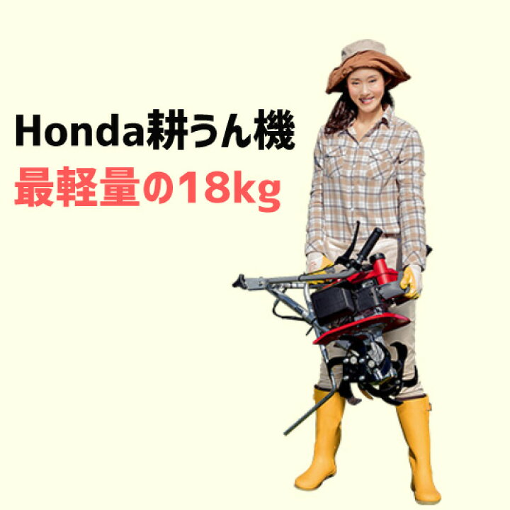 楽天市場】【4/1-4/30確率1/2!最大100%ポイントバック☆要エントリー 
