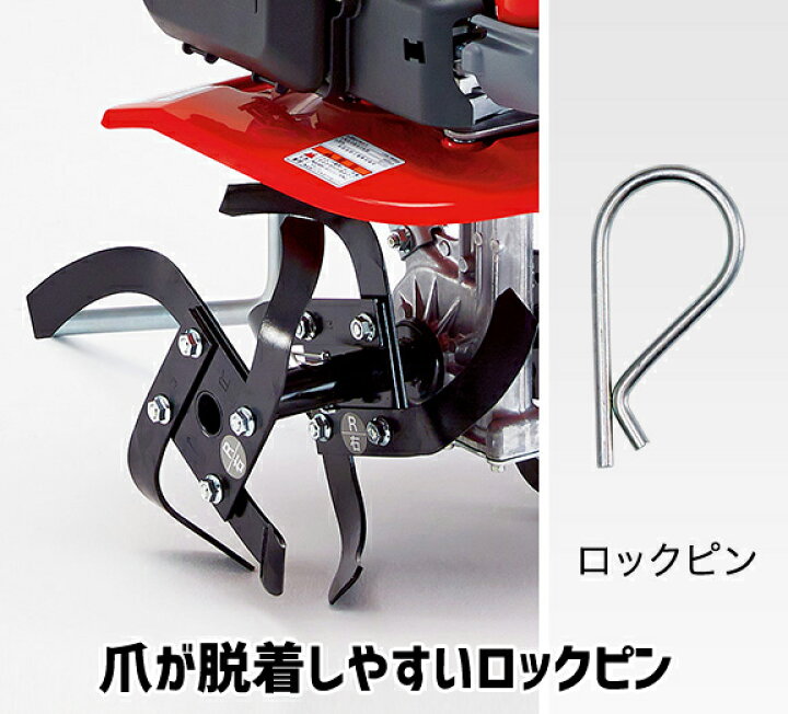 楽天市場】【4/1-4/30確率1/2!最大100%ポイントバック☆要エントリー 
