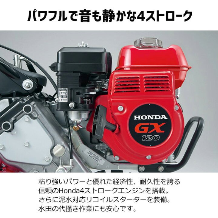 楽天市場】【4/1-4/30確率1/2!最大100%ポイントバック☆要エントリー 