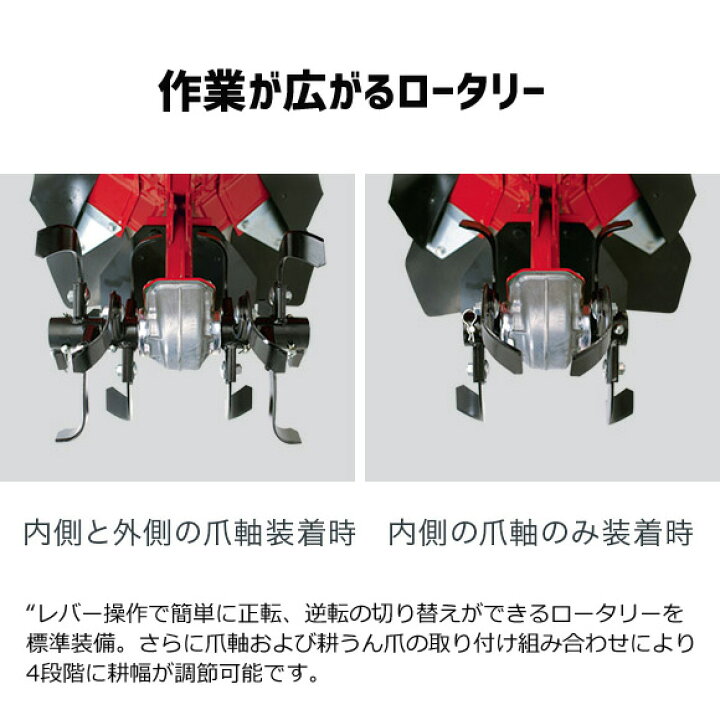 楽天市場】【4/1-4/30確率1/2!最大100%ポイントバック☆要エントリー 