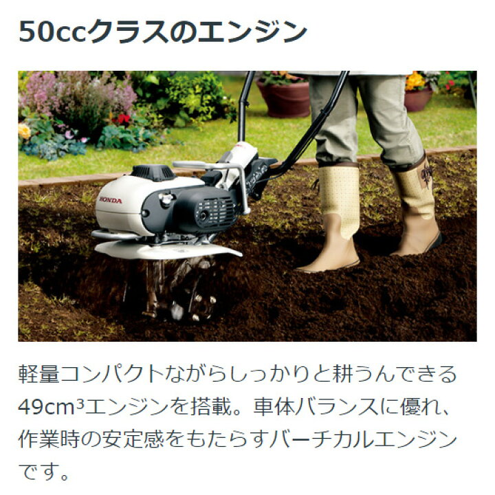 楽天市場】【4/1-4/30確率1/2!最大100%ポイントバック☆要エントリー 