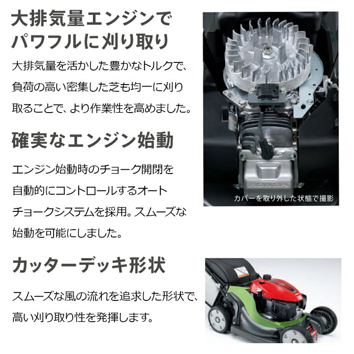 楽天市場】【7/1-31確率1/2!最大100%ポイントバック☆要エントリー】芝 