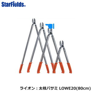 }  CI }oT~ LOWE 20-080 hCc 80cm