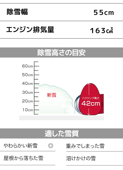 楽天市場】【7/1-31確率1/2!最大100%ポイントバック☆要エントリー 