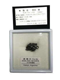カンポ・デル・シエロ鉄いん石（特大）4.1g～4.5g