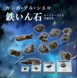 カンポ・デル・シエロ 隕石　 ルースケース入り・台紙付き