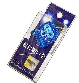 いん石を持ち歩こう☆星に願いを お守りストラップ1576年アルゼンチン産のカンポデルシエロいん石を封入☆地球の引力にひかれ、大気圏をこえたオリジナリティあふれるかたちの鉄隕石は、一生に一度の宝物！
