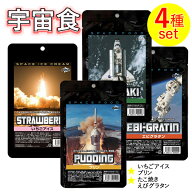 宇宙食Aセット（ストロベリーアイス、プリン、たこ焼き、えびグラタン）,SPACE FOODS
