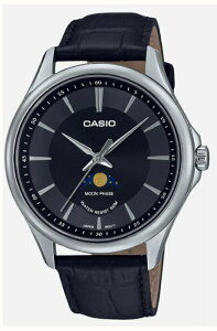 CASIO JVI [tFCY  EHb` v ubN