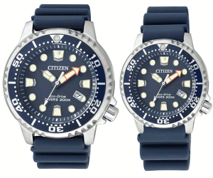 CITIZEN BN0151-17L-EP6051-14L tA V`Y GRhCu _Co[ yA EHb` u[ { 200mh