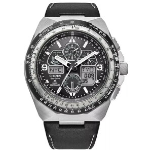 CITIZEN JY8149-05E V`Y tA GRhCu XJCz[N dgv EHb` v Y 200mh