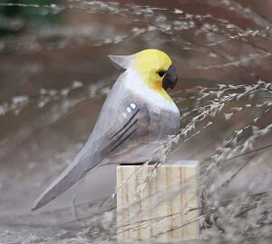 IE  IuWF Ebh yA Jbv  ؒ  o[h 킢  u  CeA  K[fjO I[ig v[g Mtg i nhC