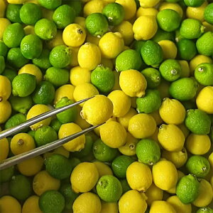 ~j`ASyH ~j`A  Sy H  h[nEX  BJD OB11 blythe 1/6 1/12 XP[ tFCNt[c tFCNt[h Be G IuWF CeA u L