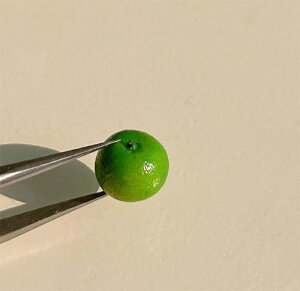 ~j`At[h ~j`A t[c ݂ miV h[nEX t[cX  G BJD Blythe uCX h[p ANZT[ Be fBXvC H ~j`AG Lb`