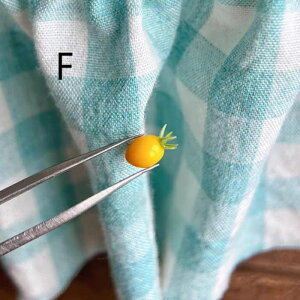 g}g ~jg}g ~j`A H h[nEX   Sy ~j`At[h  A 킢 fBXvC Be 1/6 1/8 1/12 BJD OB11 Blythe uCX h[pANZT[ 