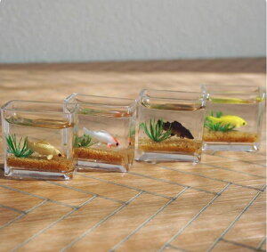 ~j`A  ANAE h[nEX  CeA G BJD OB11 tBMA h[Ƌ h[ h[G h[CeA Be fBXvC 킢 A K