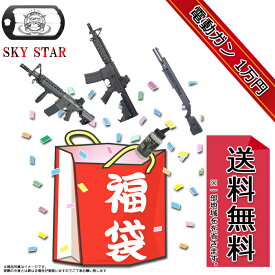 ☆スカイスター 1万円 電動ガン福袋☆