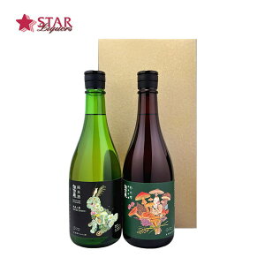 n2{MtgZbg zKA 720×2{挧n lr 2{Zbg Ďx ċ̎ ̂u[Px A i aj AEj ސEj j  䋟 yX