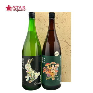 n2{MtgZbg zKB 1800×2{挧n 1r 2{Zbg Ďx ċ̎ ̂u[Px i aj j  䋟  e{ { {Mt