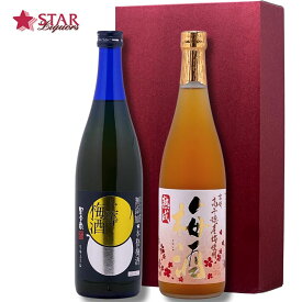 梅酒2本飲み比べセット720ml×2本 沖縄以外送料無料 梅酒 プレゼント 女性向け お誕生日 飲み比べギフト箱入り 梅酒セット 女子会 梅酒呑み比べ 人気梅酒 誕生日プレゼント 贈り物 ホワイトデー 母の日
