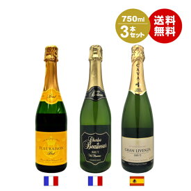 沖縄以外送料無料 スパークリングワイン3本セット750ml×3本 ワインセット 3本セット White フランス スペイン カヴァ ワインセット 白セット 泡 家のみ 家飲み 宅のみ 宅飲み 家飲みワインセットワイン ギフト 御歳暮 クリスマス ボジョレー