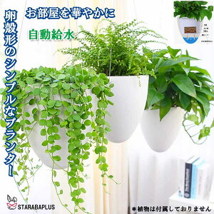 ^v^[ _ IV Ǌ| ݂艺 _ v^[ nMOoXPbg ϗtA CeA  O  