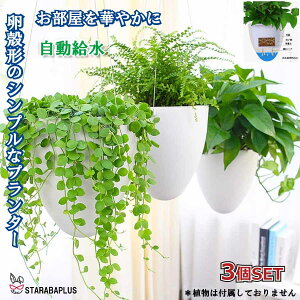 ^v^[ 3Zbg _ IV Ǌ| ݂艺 _ v^[ nMOoXPbg ϗtA CeA  O  