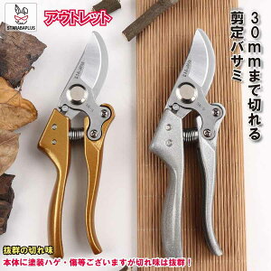 󂠂 AEgbg ΂ ͂ 30mm nT~  K[f | }؂ }؂΂ bN   