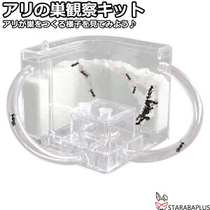 Ȃ ώ@Lbg Ȃώ@Lbg A  ώ@ P[X  R w Lbg  a Zbg Zbg ώ@ H j̎q ̎q ċx wKp  