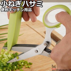 ˂nT~ lM ݂͂ Lb`5A΂ 5A͂ Vb_[nT~ ̂nT~ XeX ֗ObY Lb`pi 