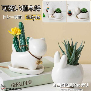 ~j v^[ Aؔ A T{e Z~bN g[t ~j ϗtA ETM lR Jo  z[  ̓ 