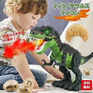 eBmTEX WR {bg    6 j̎q a v[g WVbN[h A T-bNX dߋ  s 