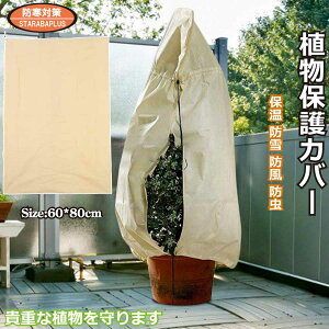 A یJo[ h Aۉ sDz Rt ʋC h h A ی ~ph΍ O |pi Q h~ | ƒ؉ [ 