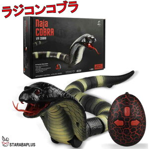 Ru wr WR  av[g j̎q nEB hbL  TvCY A 