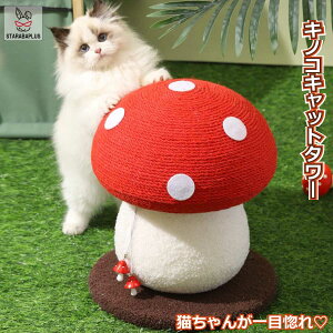 Lp ܂Ƃ^[ ̂ LmR Lbg^[ VRTCU  CeA ܂Ƃ|[ XgX   